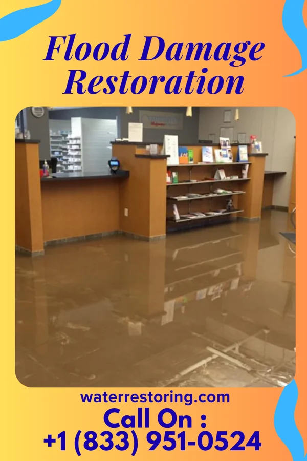 Flood Damage Restoration in North Judson, IN