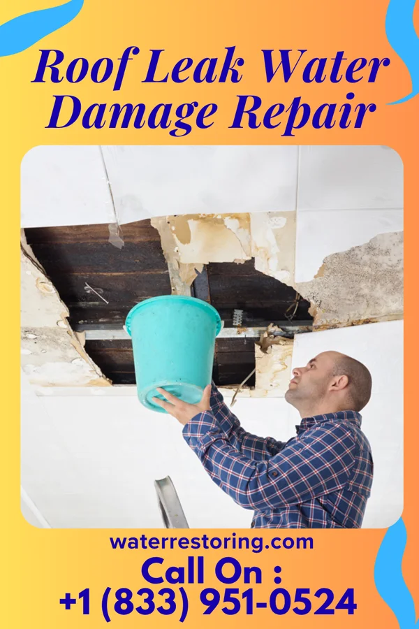 Roof Leak Water Damage Repair in North Judson, IN